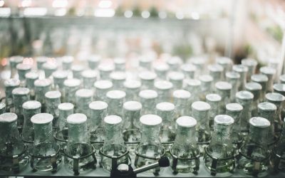 Babies Without Sex- Just because you can, doesn’t mean you should