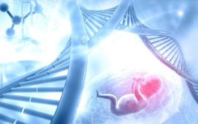 Virginia bill erases words ‘husband’ and ‘wife’ from law, defines embryonic humans as property