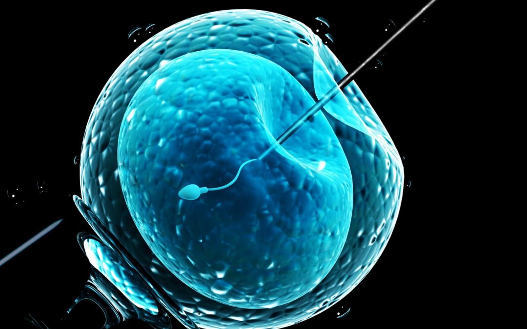 Letter to Colorado – Mandating IVF Coverage Harms Children