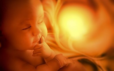 Twenty-seven Year-Old Babies: The Promise and Perils of Embryo Adoption