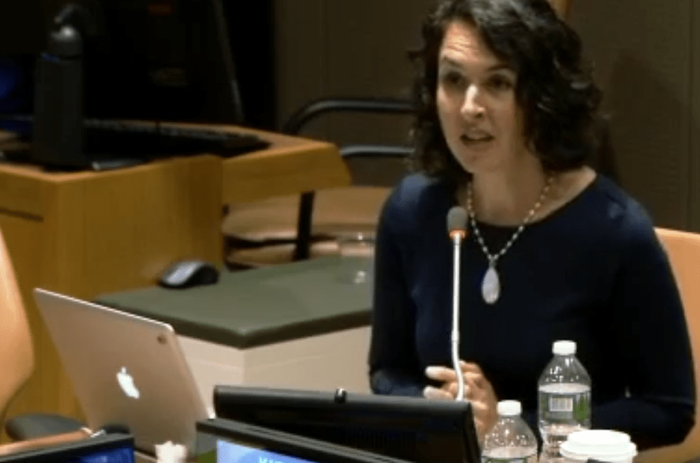 Katy Faust on U.N. Panel  “The rights of the child: Parents, Science and Experience”