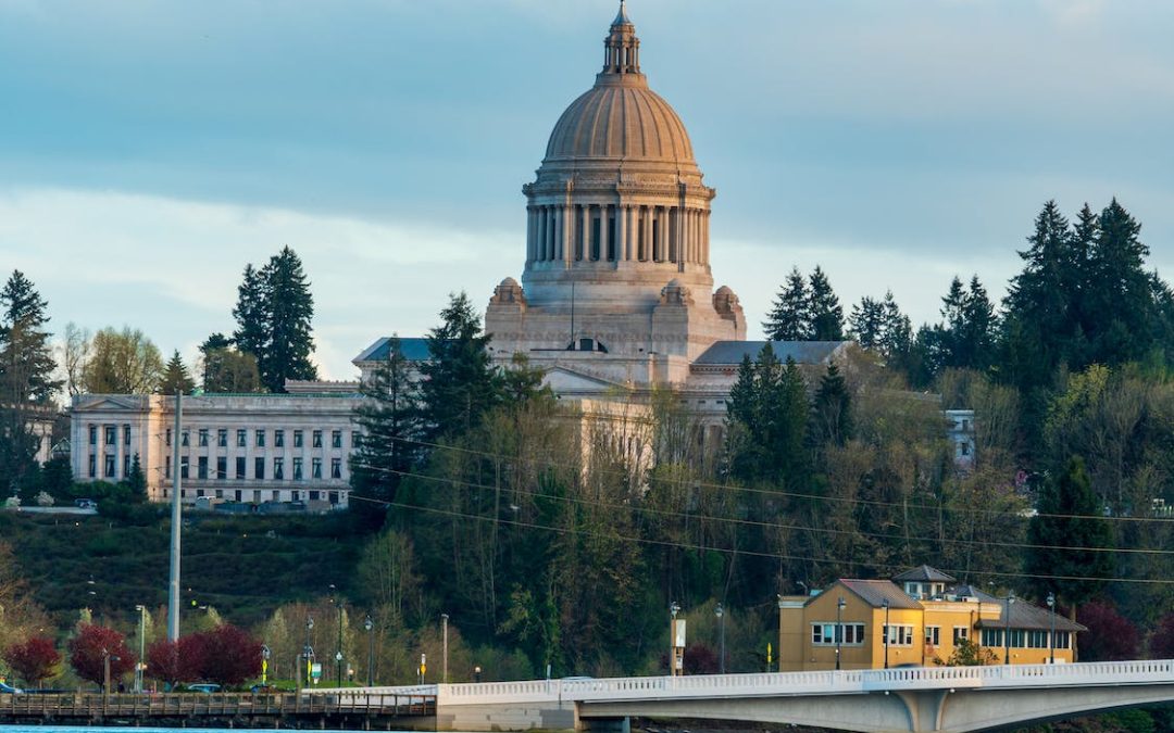 Testifying Against Big Fertility in Washington State
