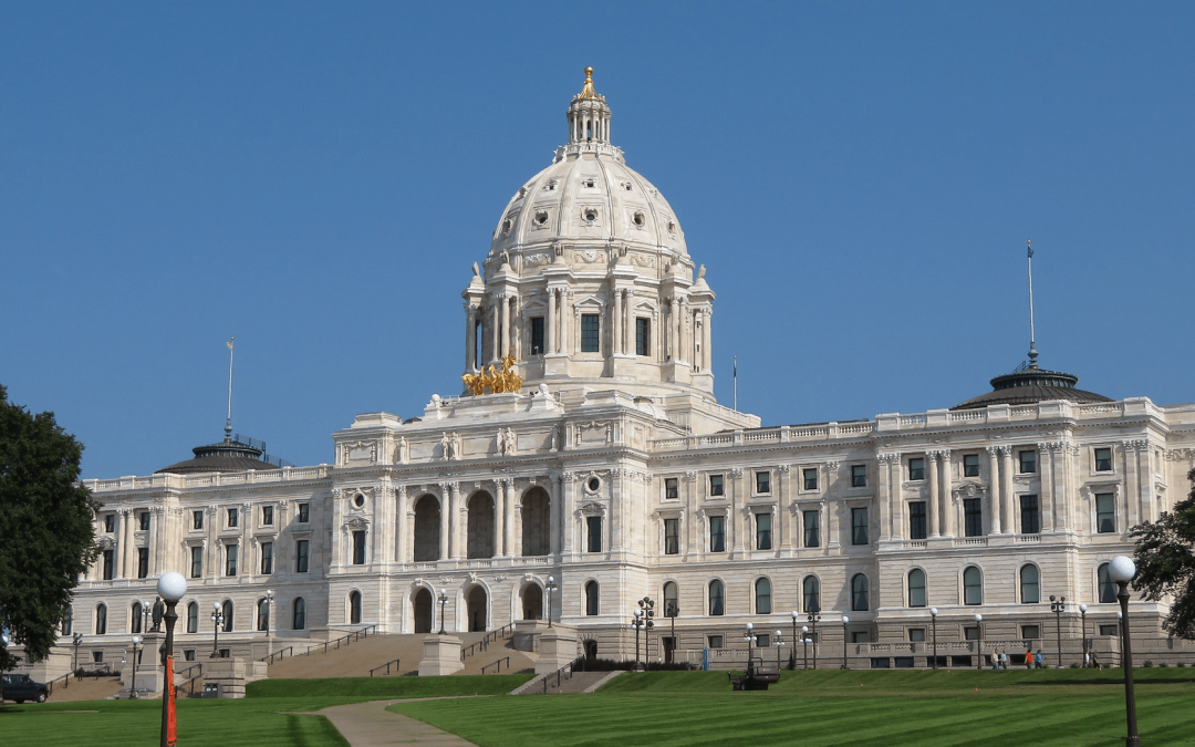 Win for Children’s Rights: Them Before Us Combated Bill in Minnesota Subsidizing Donor Conception